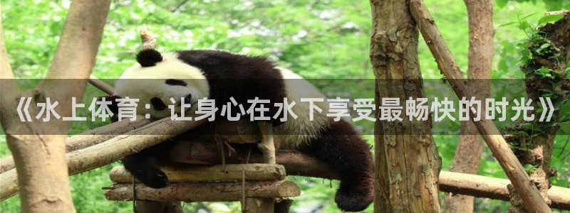 看球体育科技有限公司：《水上体育：让身心在水下享受最畅快的时光》