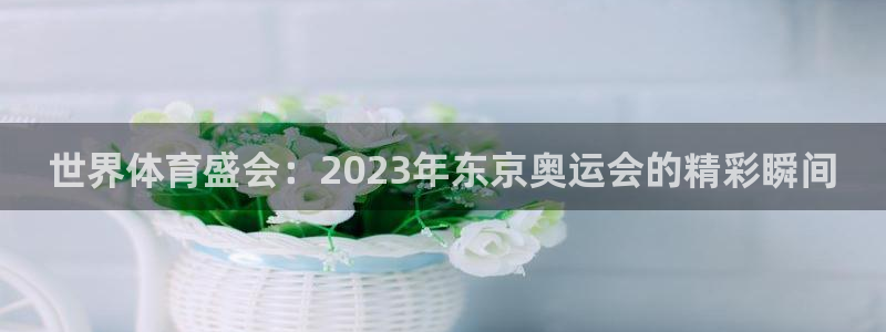 看球体育app下载最新版本：世界体育盛会：2023年东京奥运会的精彩瞬间