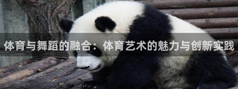 看球体育高清直播：体育与舞蹈的融合：体育艺术的魅力与创新实践