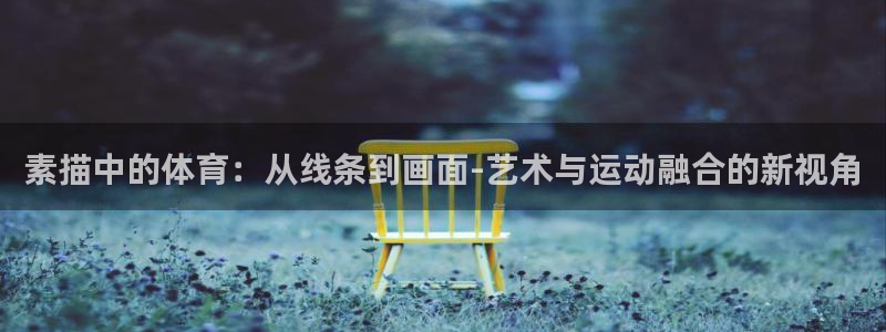 看球体育app下载最新版本：素描中的体育：从线条到画面-艺术与运动融合的新视角
