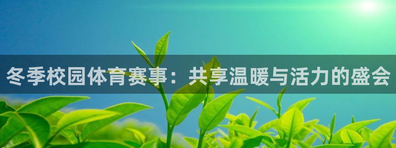 看球体育广西速伟科技有限公司：冬季校园体育赛事：共享温暖与活力的盛会