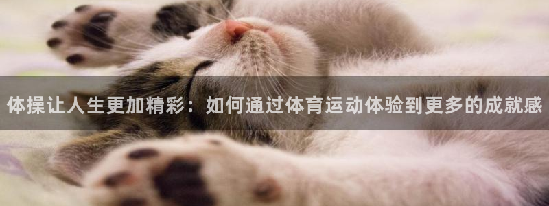 看球体育APP官方免费下载：体操让人生更加精彩：如何通过体育运动体验到更多的成就感