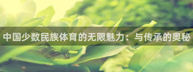 看球体育app下载：中国少数民族体育的无限魅力：与传承的奥秘