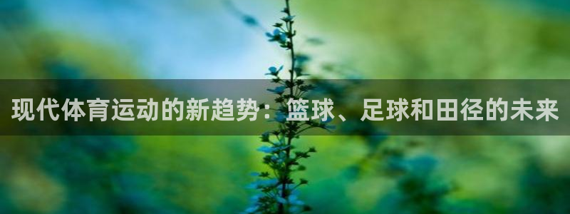 看球体育安卓版下载：现代体育运动的新趋势：篮球、足球和田径的未来